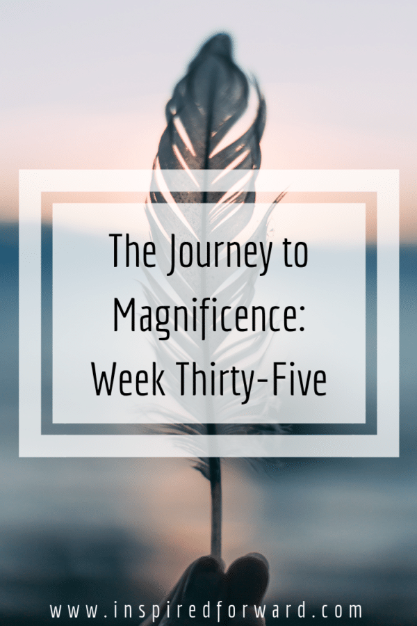 week thirty-five pinterest