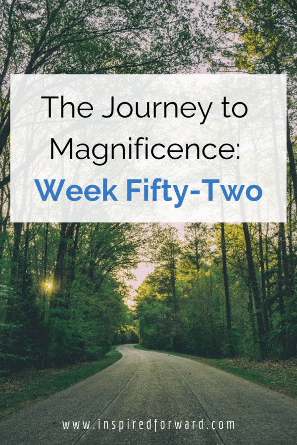 Week fifty-two has finally come and gone -- the end of this journey series documenting my progress through side-hustle endeavors and improving myself.