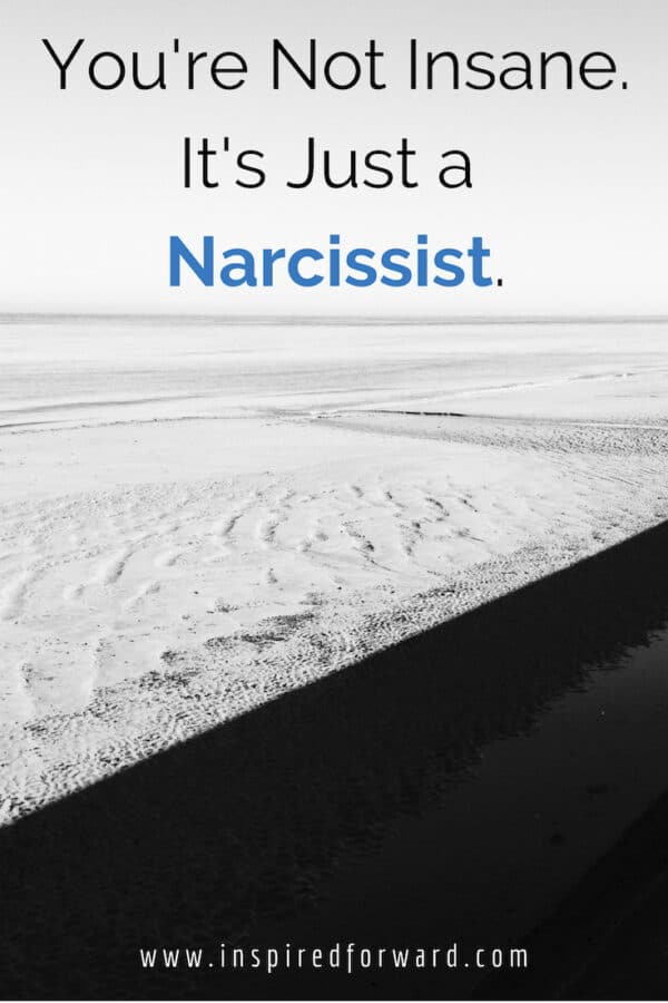 Is someone in your life causing self-doubt, uncertainty, or manipulating you? Don't worry, you're not insane. It's just a narcissist.