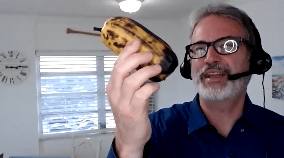 healthy food mindset banana thing 2 healthy food mindset banana thing 2